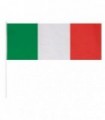 BANDERA SUPPORTER ITALIA